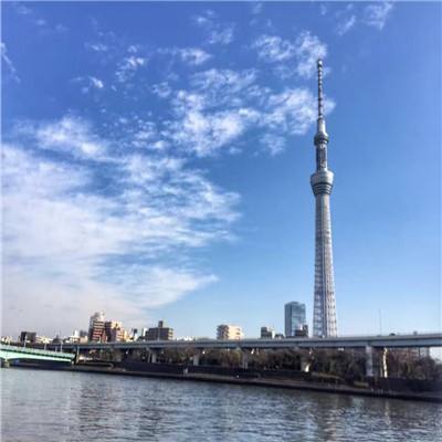 夏日狂欢祭百度版下载