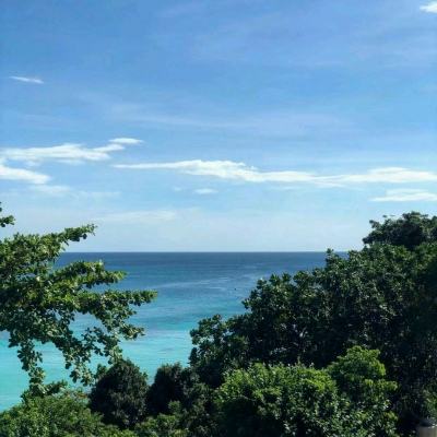 宝宝天气认知宝宝巴士破解版下载
