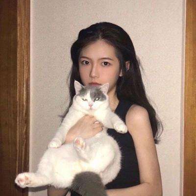 歌之王子殿下闪耀之星国服版下载